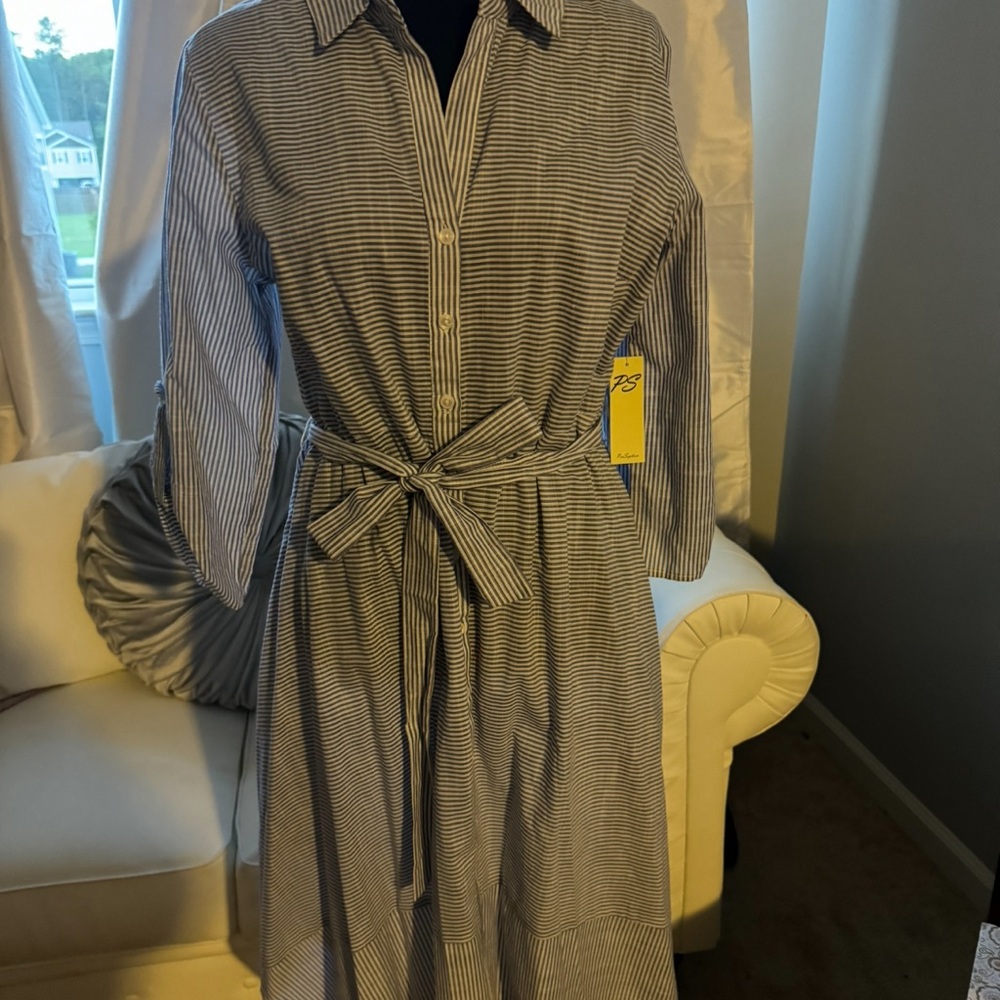 NWT blue and white stripped dress